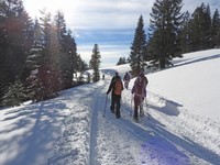 X2019-01-14 1038 You didn't really need snow shoes.jpg